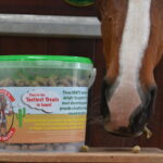 Trigger's Tasty Horse Treats